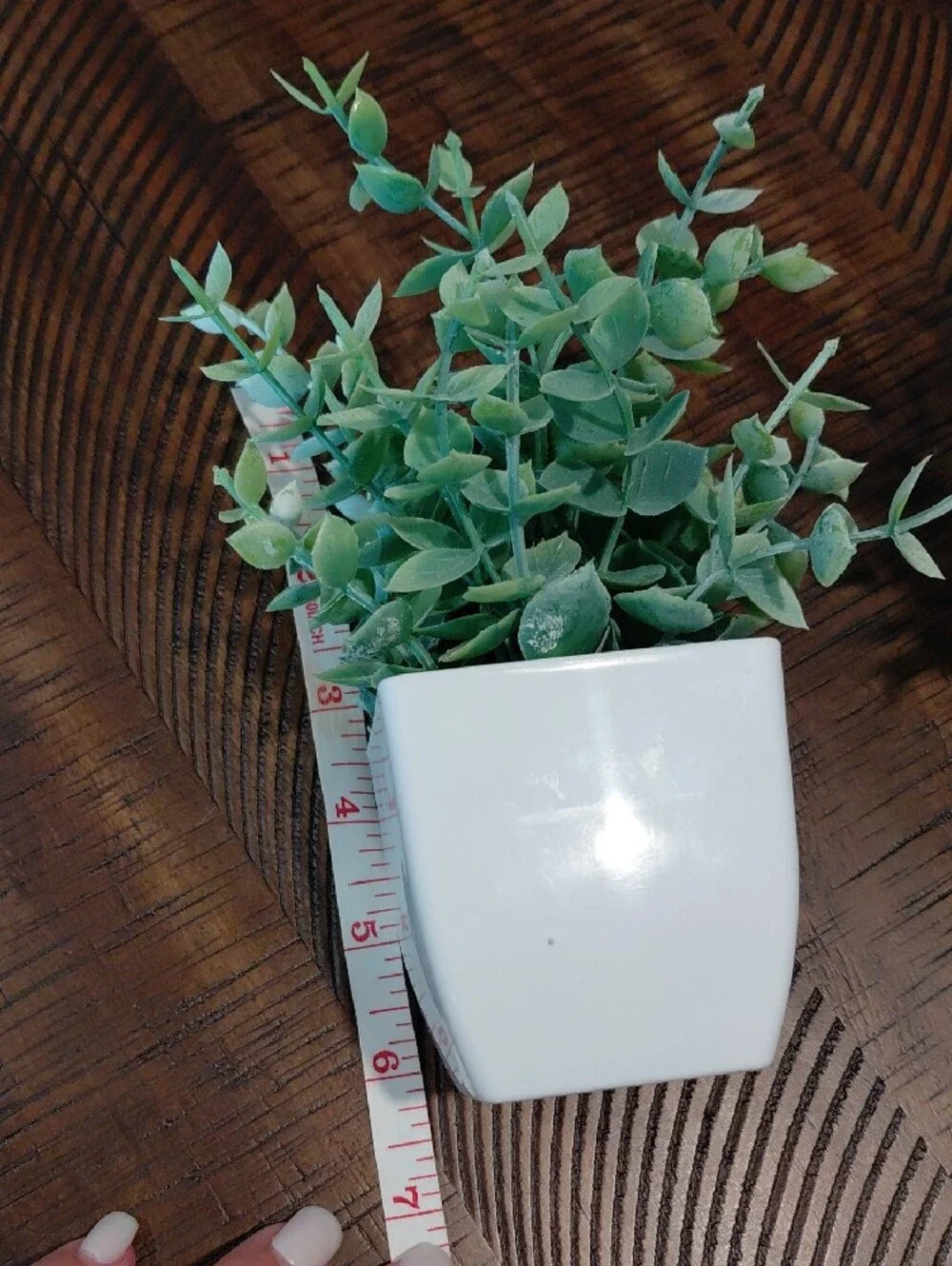 Artificial Potted Succulent Set in Green - Home Accents